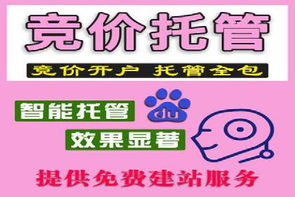 探索sem账户托管的优化策略与效果